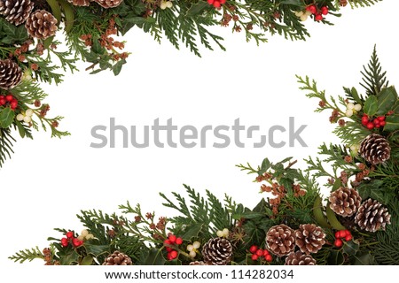Christmas border of holly, ivy, mistletoe and cedar cypress leaf sprigs with pine cones over white background.