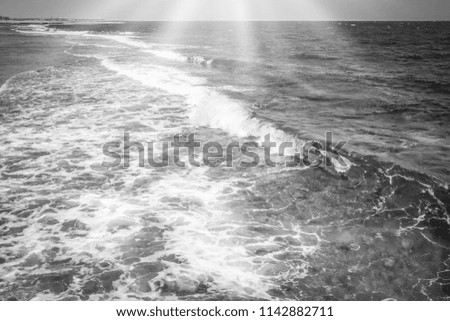 Beautiful waves on the sea landscape background