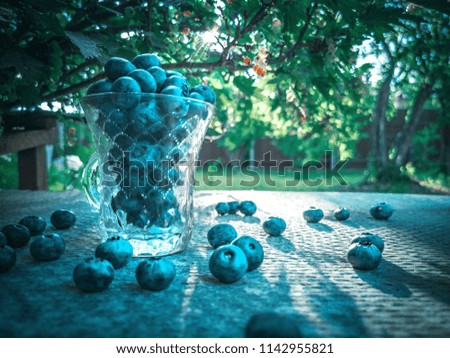 Blueberry in a glass in the garden on the table. Blueberry in glass. Fruits diet concept. Fresh summer berries. Food concept. Flat lay. Nature concept.