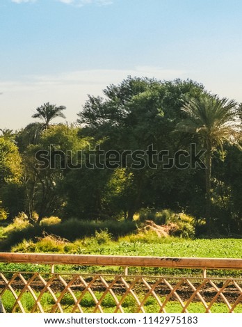 A beautiful Landscape view for farm fields near kom ombo in Aswan, Egypt