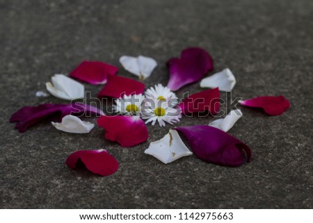 Mandala of flower petals on concrete floor.