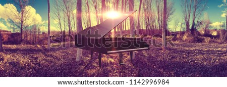 Music piano concept and nature.Surreal dreamscape forest and sunset and black grand piano