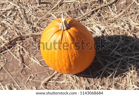 This is a picture of a pumpkin sitting on straw that is on the ground.