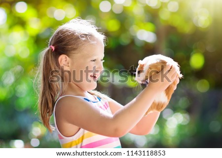 Child playing with guinea pig. Kids feed cavy animals. Little girl holding and feeding domestic animal. Children take care of pets. Preschooler kid petting hamster. Pet rodents. Trip to zoo or farm.