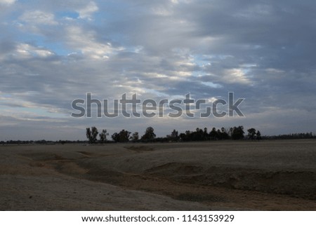Landscape of spacious big dark terrain land with trees on horizon under cloudy sky