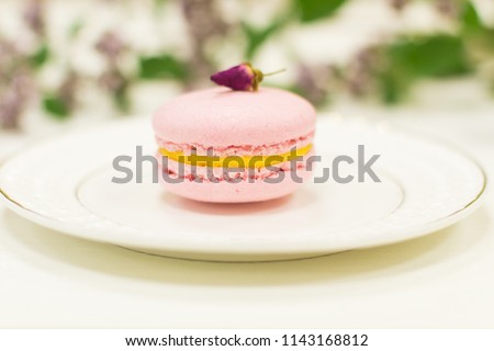 Nice macaroons on plate with flowers