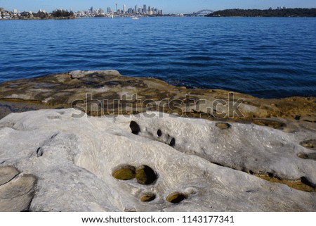 Scenic View over Coastal Rocks and across Sydney Harbour towards Sydney's Skyline on the Horizon