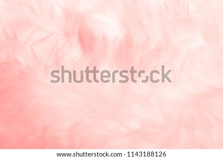 Coral Pink vintage color trends feather pattern texture background