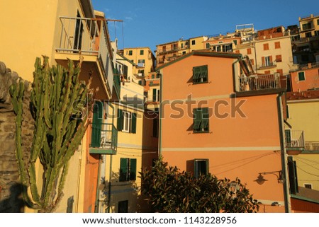 A Picture from the scenic Italian village Manarola in Cinque Terre during the sunny hot afternoon. 