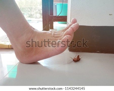 Blurry image,Killing and destroying home cockroaches,need blur picture