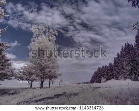     infrared photography - ir photo of panorama - the art of our world in the infrared spectrum 