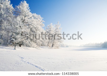 Winter park in snow Royalty-Free Stock Photo #114338005