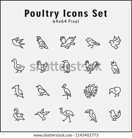 Thin line icons set of animals, poultry, bird, wild, zoo. Editable vector stroke 64x64 Pixel.