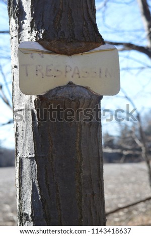 No Trespassing Sign on Tree Funny Sign Post