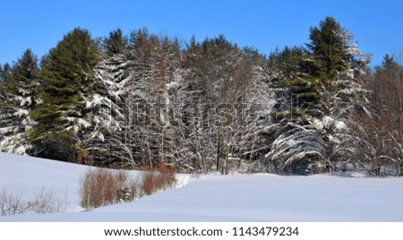Winter landscape Eastern township Quebec Canada