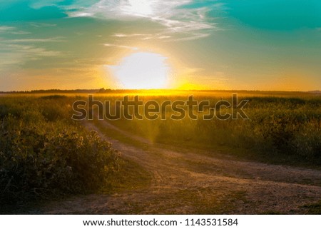 sunset on the background of the field