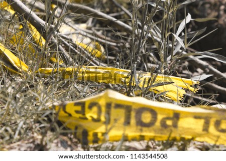 Yellow police tape on the ground in the forest.
