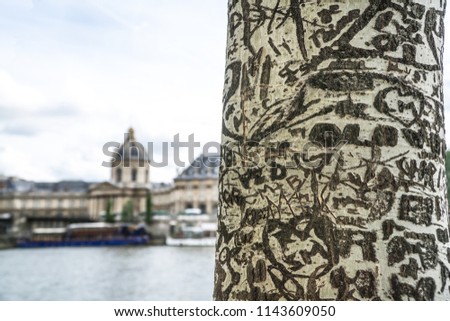 Close up of a an engraved white tree trunk, with beautiful famous French Beaux Arts Academy monument and the Seine river with boats in background, Paris, France, Europe.