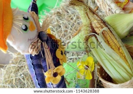 scarecrow and corn on the cob