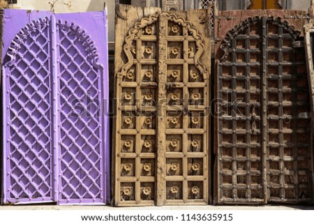 Doors of Udaipur