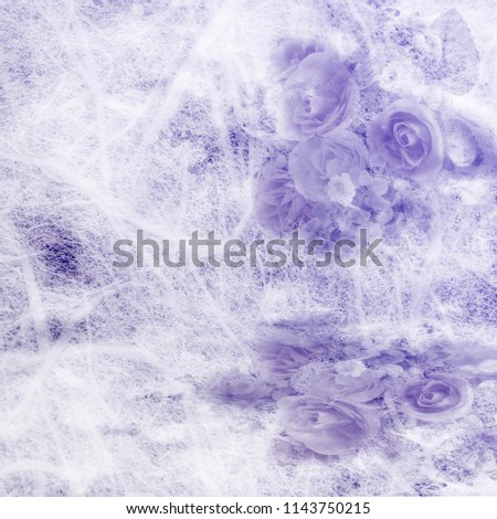 Unfocused blur cosmos flower petals, cosmos flowers in mulberry paper soft blur for background style pastel tones