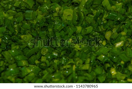 Green onion in macro caption. Amazing pattern and composition. Waterdrops emphasizing freshness and clean. Photo caption in restaurant kitchen