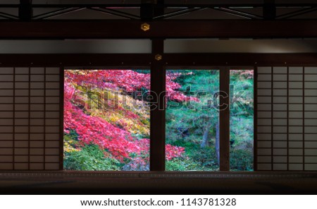 Japanese garden viewed through room