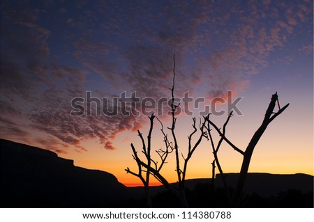 Mountain and tree silhouette at sunset