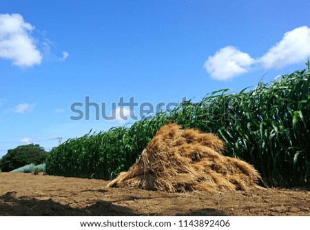 a haystack on the field