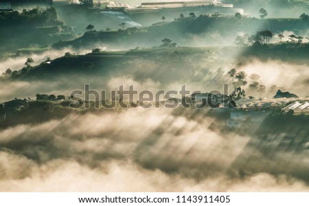 Fog and sunrays