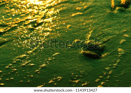 abstract green background, background water, background image
