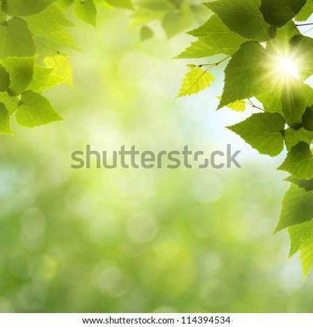 Whats a funny nice day! Abstract natural backgrounds Royalty-Free Stock Photo #114394534