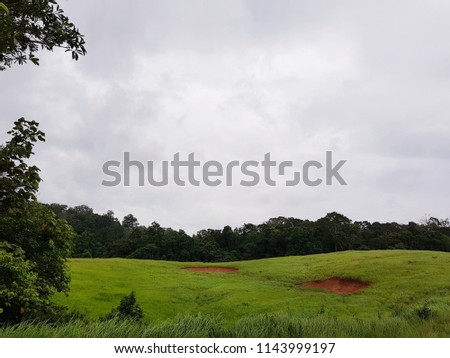 Green field with Salt licks in Khoa Yai National Park, Thailand.