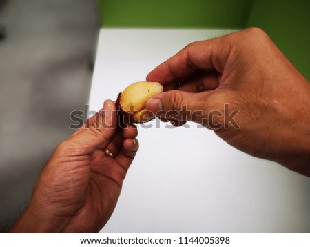 Peeled Salacca in hand