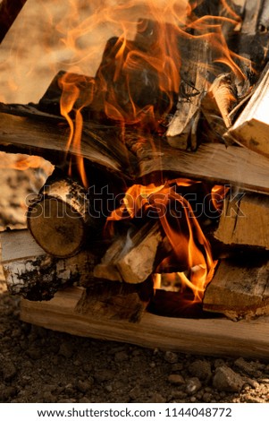 firewood close-up fire