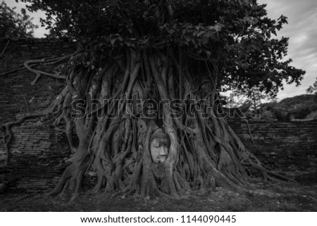 retro styled  image of the Head of the Buddha, with tree trunk and roots growing around it. Wat Mahathat, Ayutthaya, thailand