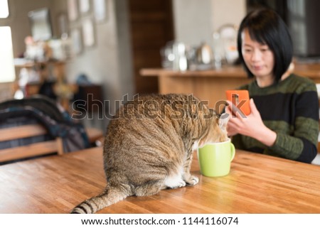 woman looking her cat drink water at home