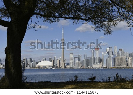 Toronto panoramic view with skyline over lake Ontario bellow the tree on sunny day