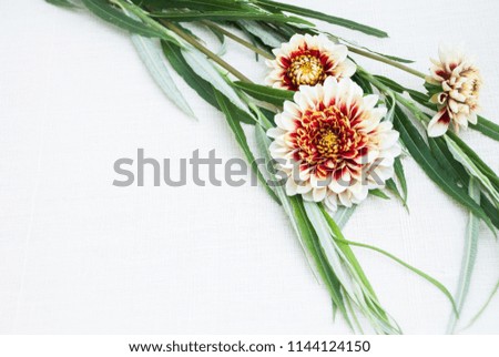Wedding or birthday greeting card template with dahlia flowers and willow leaves