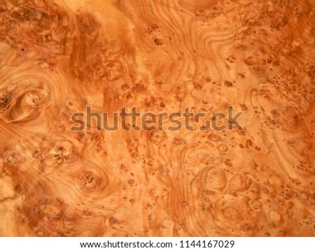 The texture of natural wood is the root of oak. Wood veneer for furniture production Royalty-Free Stock Photo #1144167029