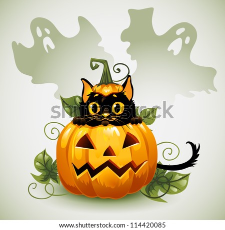 Black cat in a Halloween pumpkin and ghost.  Background is separate.