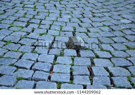 loose paving stone in circular laid cobblestone pavement in pedestrian zone of a city Royalty-Free Stock Photo #1144209062