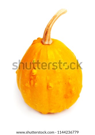 Pumpkin on isolated white background. Fresh, orange  and decorative