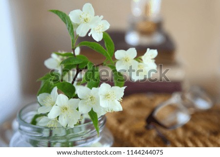 Jasmine in a still life vase