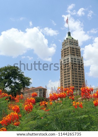 Historic Buildings rise above Pride of Bermuda flowers on a sunny day in San Antonio, TX