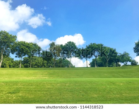 Green scenery of grass yard and forest behind with blue sky and white cloud for nature background. (Defocus picture)