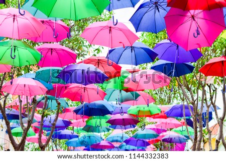 umbrella many colors float on the tree.