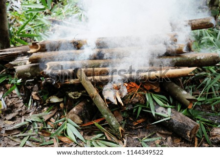 A picture of bamboo burning create the big smoke taken in the Tropical Rainforest of Malaysia.
