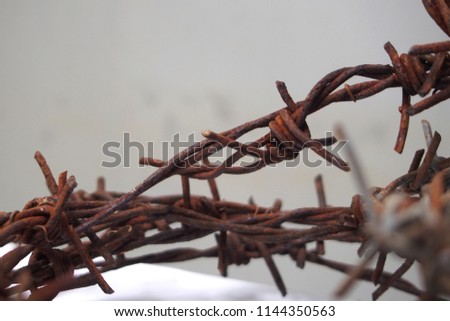 Old rusted barbed wire
