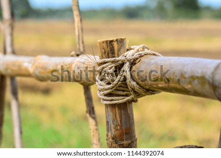 Close up of a rope bamboo structure